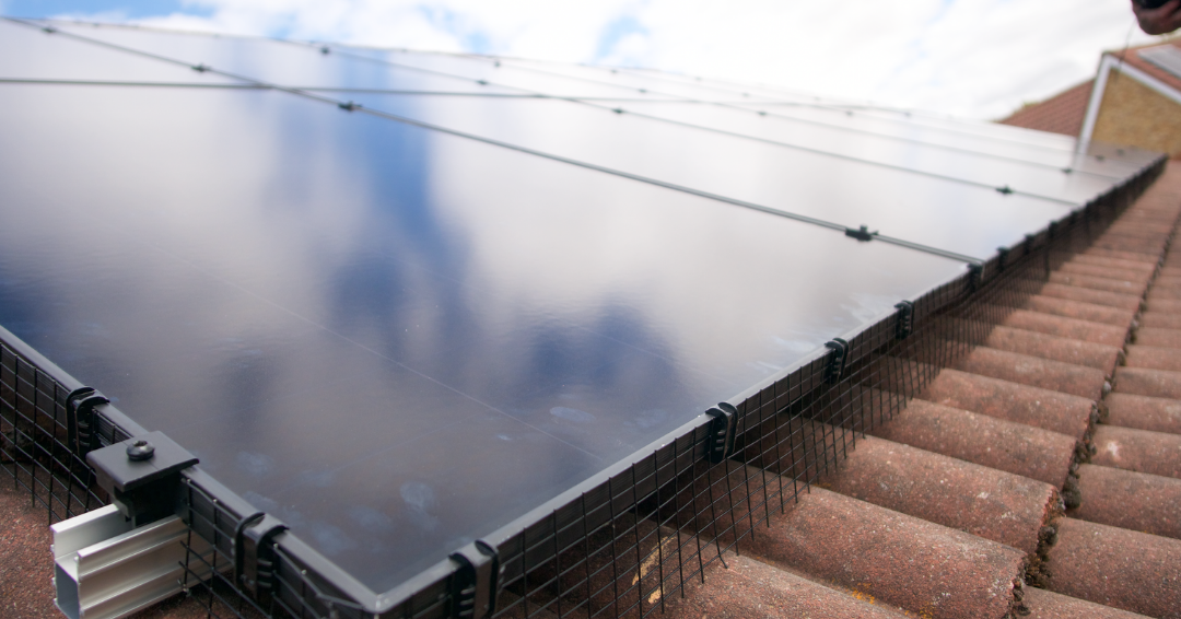 Solar Panels and Bird Proofing